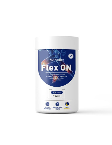 Flex ON Colágeno 300 g.