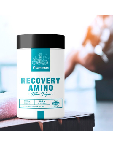 Recovery Amino 400gr.