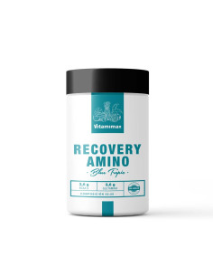 Recovery Amino 400gr.