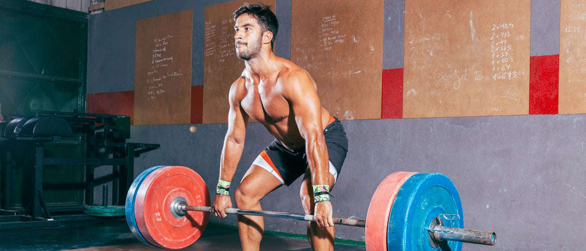 Las claves de la musculación